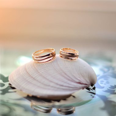 ağaç bahar çiçeği.