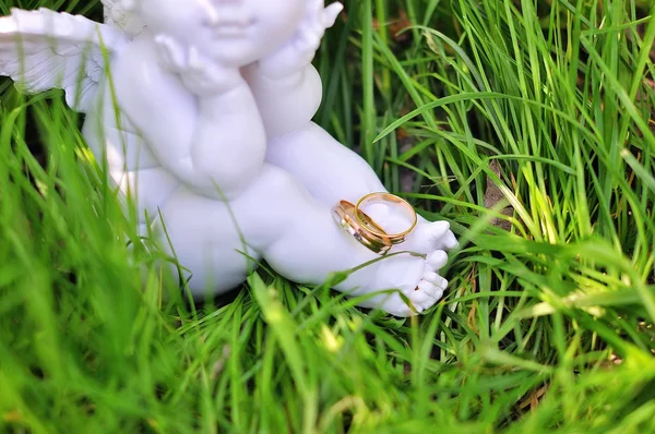 Anillos de boda se encuentran en una hierba verde — Foto de Stock