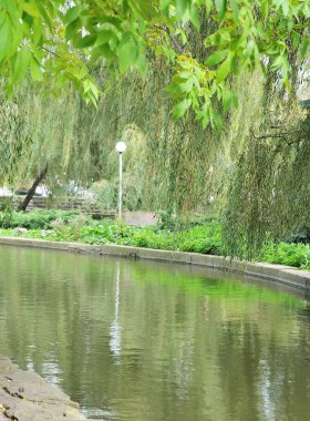 Yaz aylarında güzel bir sahne.