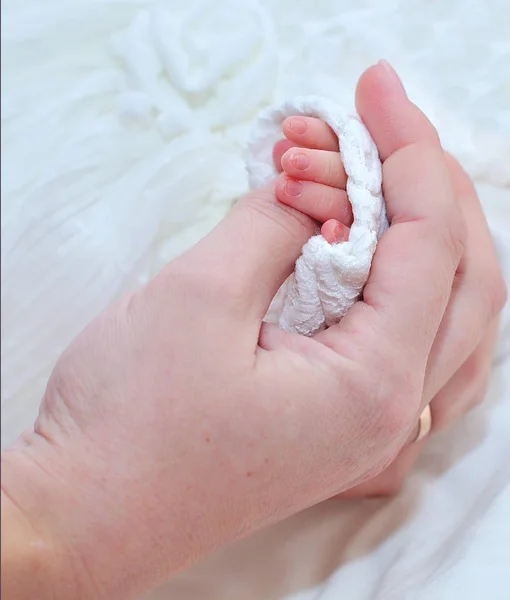 Hand baby in the hand of mother — Stock Photo, Image