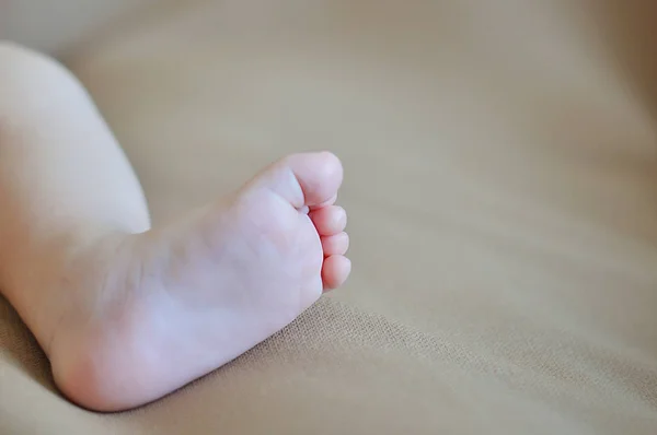 Un gros plan de petits pieds de bébé — Photo