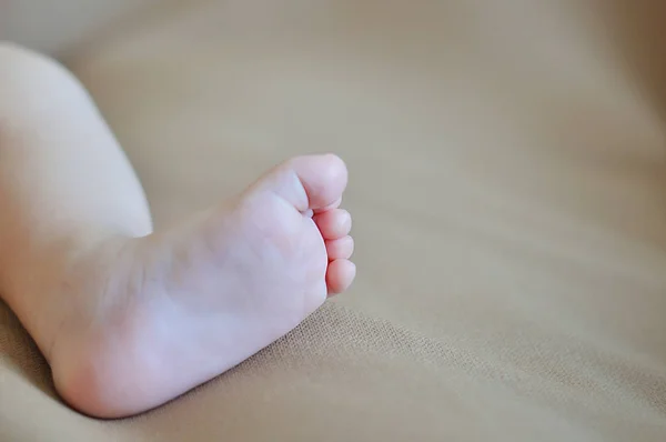 Um close-up de pequenos pés de bebê — Fotografia de Stock