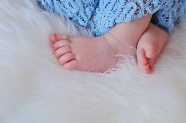 Close up picture of new born baby feet — Stock Photo, Image