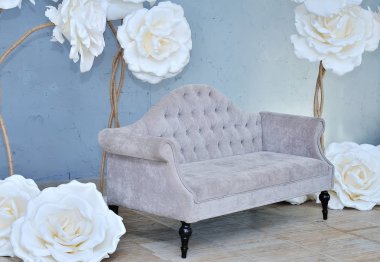 Büyük lüks iç gri kanepe ile