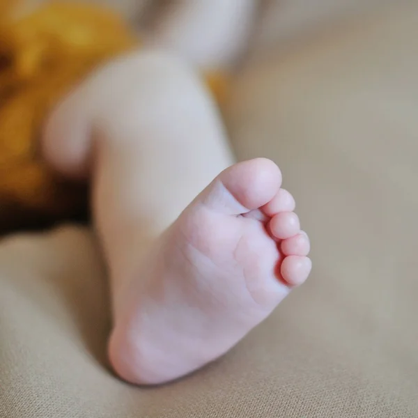 Recém-nascido bebê pé — Fotografia de Stock