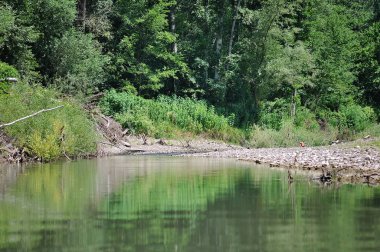 Küçük nehir, güzel bahar yatay