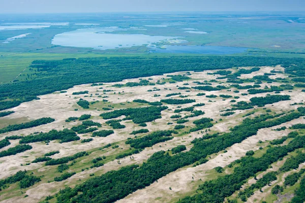 Havadan görünümü üzerinde Letea orman Danube Delta, Romanya — Stok fotoğraf