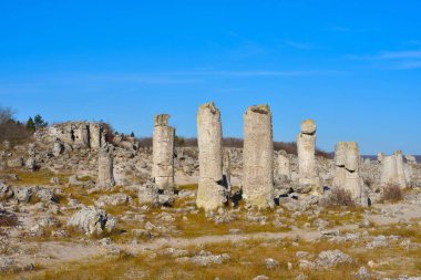 Pobiti Kamani, Bulgaristan'da taş orman doğal rezerv