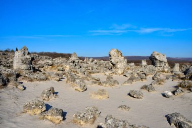 Pobiti Kamani, Bulgaristan'da taş orman doğal rezerv