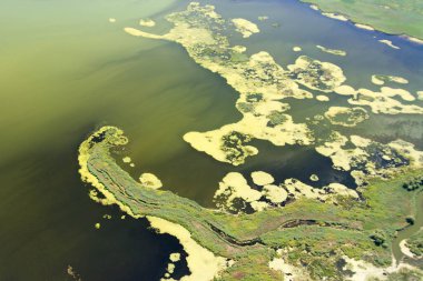 Benzersiz doğaya Danube Delta havadan görünümü
