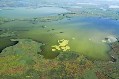 Benzersiz doğaya Danube Delta havadan görünümü