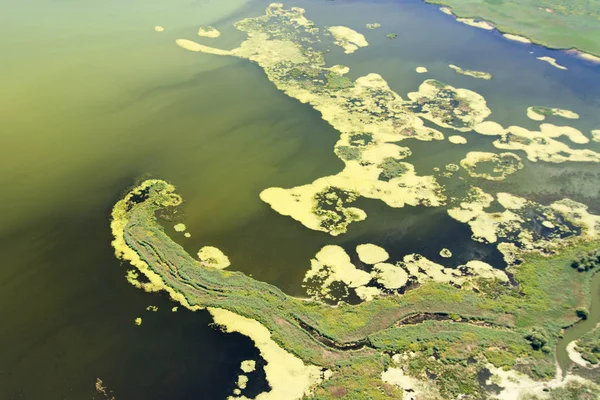 Vista aérea del Delta del Danubio sobre la naturaleza única — Foto de Stock