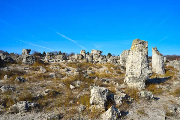 Pobiti Nóra, a kő-erdő természetvédelmi Bulgáriában — Stock Fotó