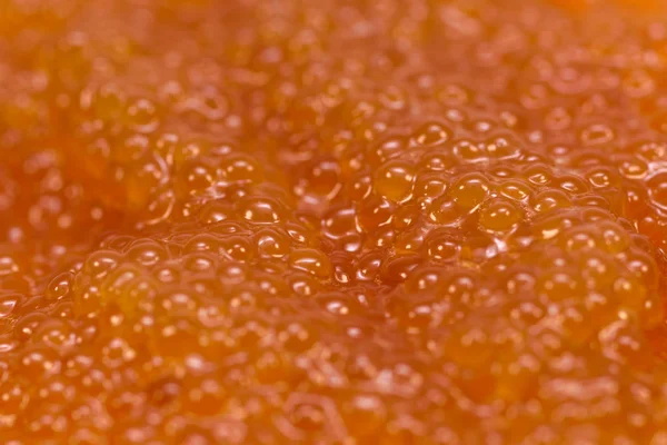 A very close up of Pike Raw Roe — Stok Foto