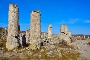 Pobiti Kamani, Bulgaristan'da taş orman doğal rezerv