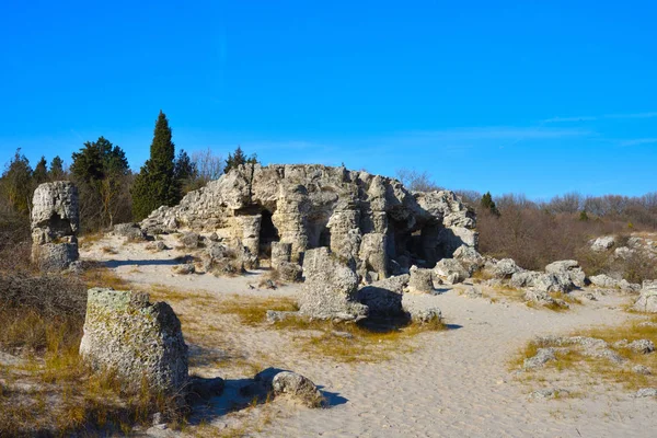 Pobiti Kamani, het versteend bos-natuurreservaat in Bulgarije — Stockfoto