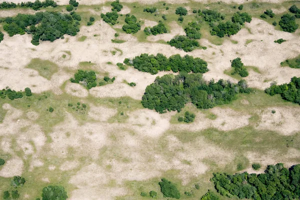 Vista aérea sobre Letea Forest no delta do Danúbio, Roménia — Fotografia de Stock