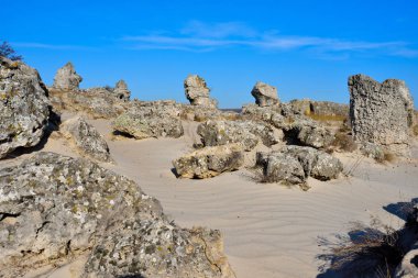 Pobiti Kamani, Bulgaristan'da taş orman doğal rezerv