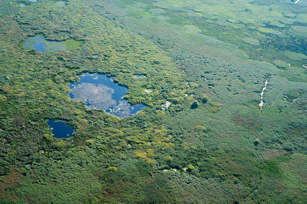 Пташиного польоту над Дельта Дунаю Marshland, Румунія — стокове фото