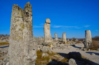 Pobiti Kamani, Bulgaristan'da taş orman doğal rezerv