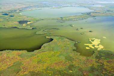 Benzersiz doğaya Danube Delta havadan görünümü