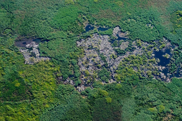 Vista aérea sobre a colônia de pelicanos brancos — Fotografia de Stock