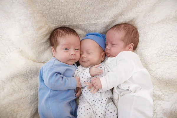 Portrait of newborn triplets - boys — Stock Photo, Image