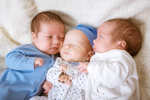 Retrato de trigêmeos recém-nascidos - meninos — Fotografia de Stock