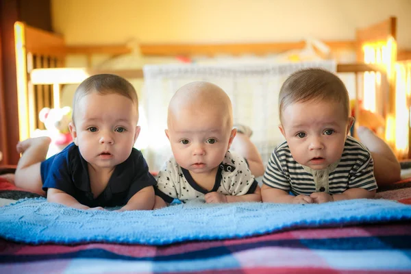 Portrait of newborn triplets - boys — Stock Photo, Image