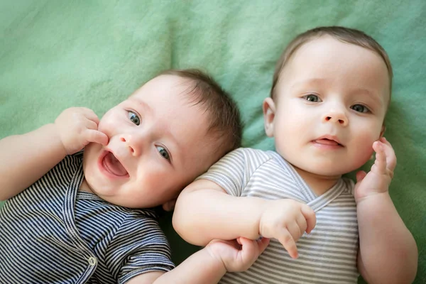 Nyfödda tvillingar pojkar blir liggande på sängen — Stockfoto