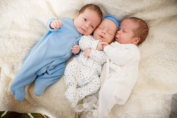 Portret van pasgeboren drieling - jongens Rechtenvrije Stockfoto's