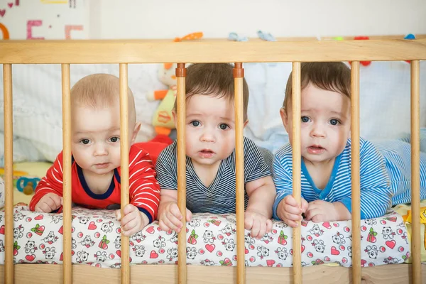Porträt neugeborener Drillinge im Bett lizenzfreie Stockbilder