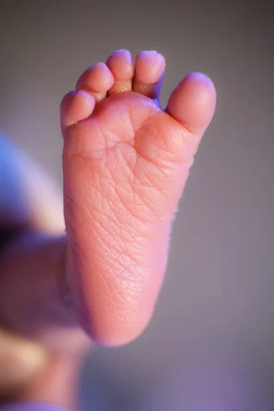 Close up de minúsculos adoráveis pés de bebê rosa nua — Fotografia de Stock