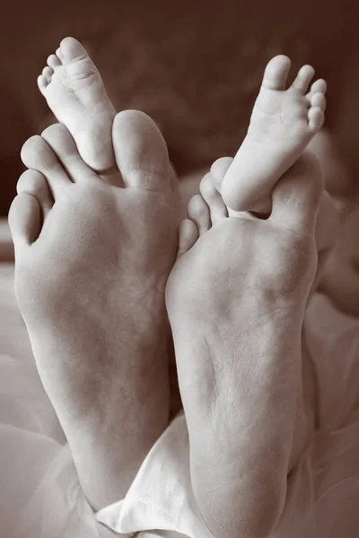 Right foot's of mother and father hold feet of the child — Stock Photo, Image