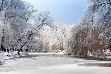 Donmuş gölette taze kar ve şehir parkındaki göl kenarında ağaçlarla beyaz kış manzarası.
