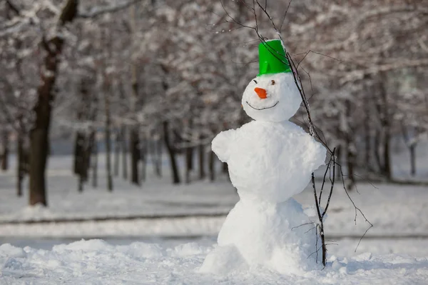 Muñeco Nieve Divertido Parque —  Fotos de Stock