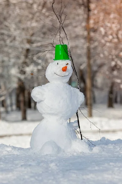 Muñeco Nieve Divertido Parque —  Fotos de Stock