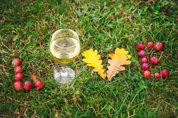 Wortliebe Aus Mandelbaumblüten Heckenrose Beeren Und Einem Glas Champagner Auf — Stockfoto