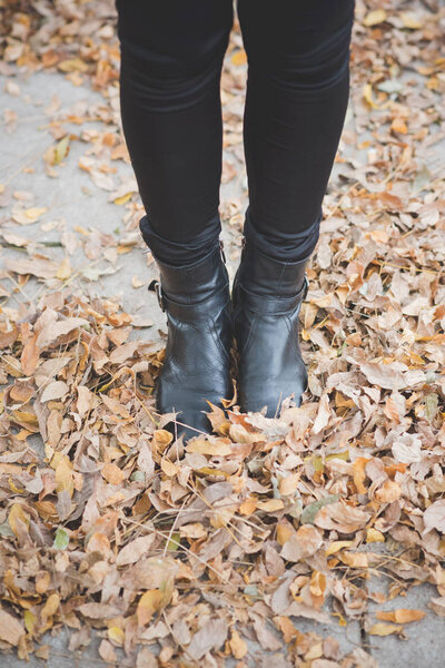 woman 's shoes in the leaves
