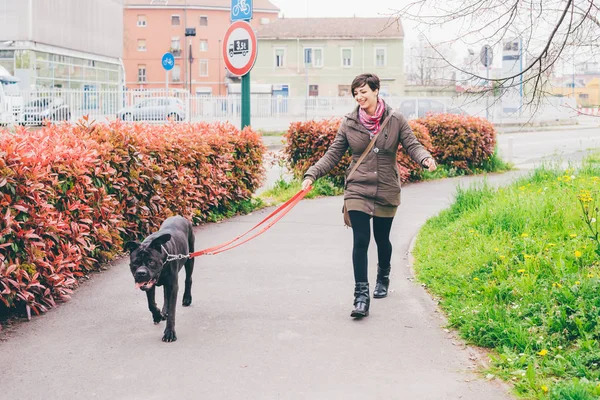 犬を連れて歩く女性は — ストック写真