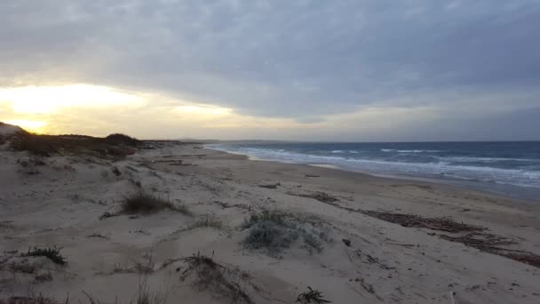 Playa en un día nublado — Vídeo de stock