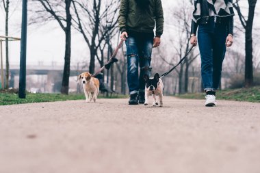köpeklerle açık yürüme Çift 