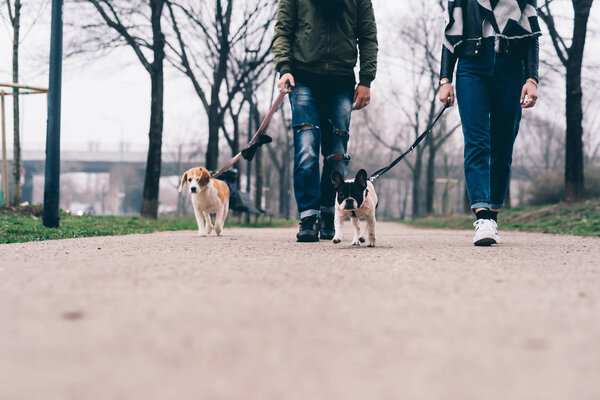 couple walking outdoor with dogs 