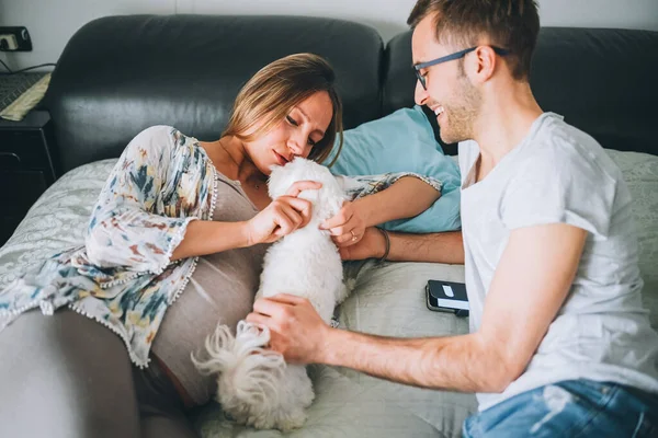 Embarazada Pareja Acostada Cama Relajante Con Cachorro Perro Ternura Espera — Foto de Stock