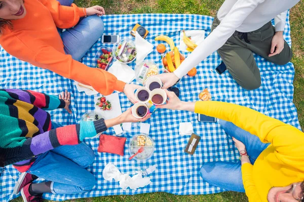 Grupp Vänner Multietnisk Skålning Att Picknick Utomhus Social Sammankomst Fira — Stockfoto