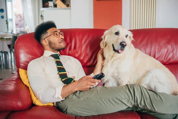 Pemuda Tampan Indoor Indoor Rumah Santai Dengan Anjing Saluran Selancar — Stok Foto