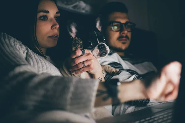 Pasangan Kaukasia Berbaring Tempat Tidur Dengan Anjing Mereka Menggunakan Komputer — Stok Foto