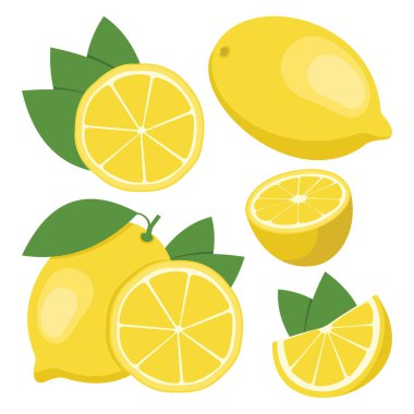 Limon. Bütün ve dilimlenmiş limon meyve topluluğu. Vektör illus