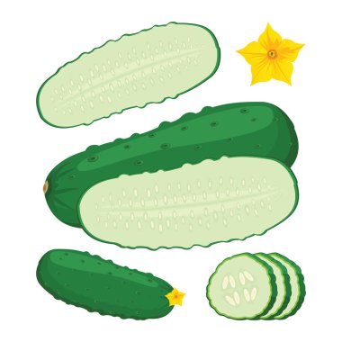 Taze yeşil olgun salatalık üzerinde beyaz backgrou izole çiçek ile