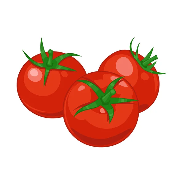 Three red, ripe tomatoes on the isolated white background. — Stock Vector